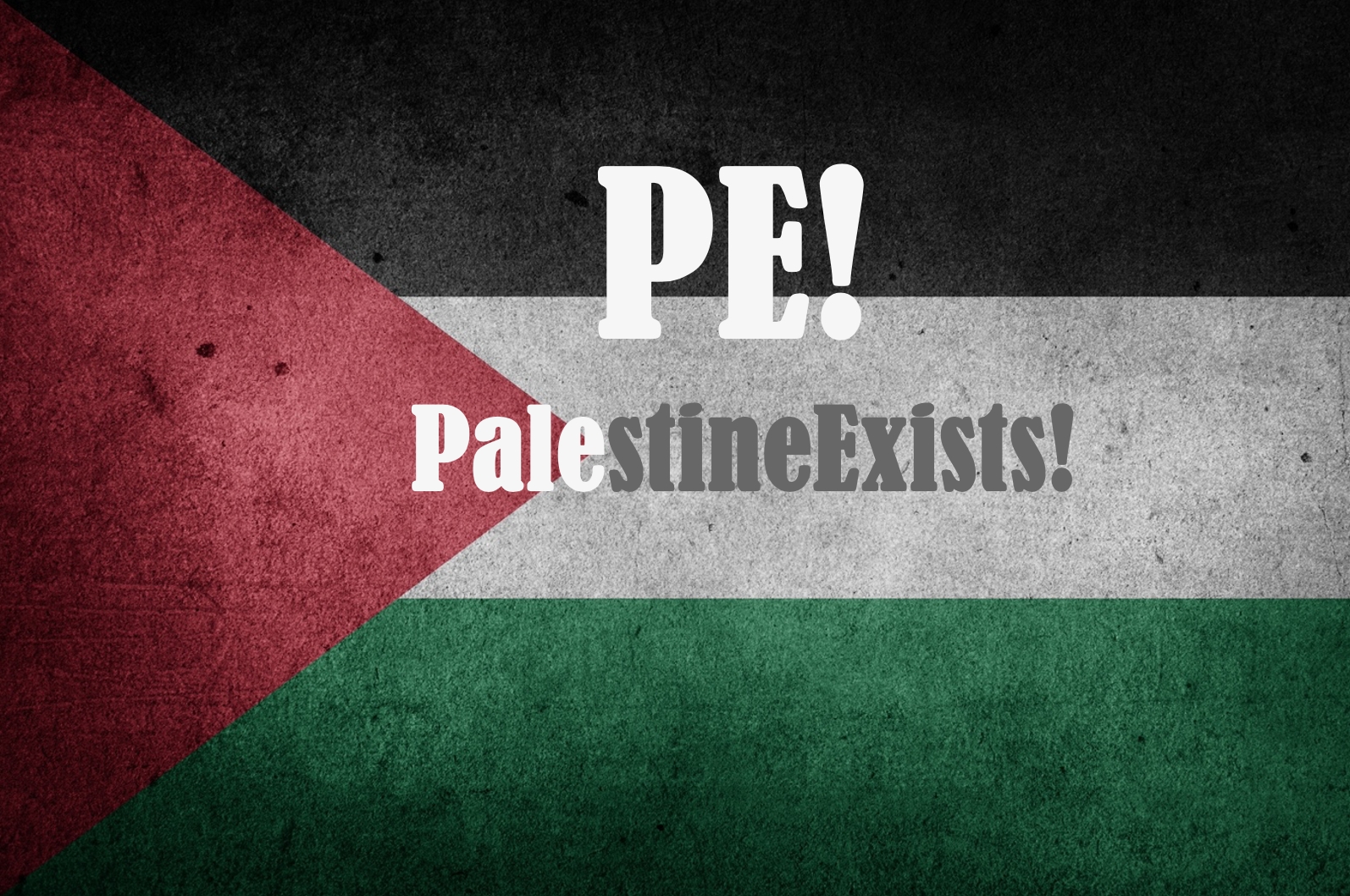 PalestineExists icon 